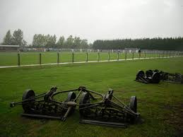 Image result for Wolviston Cricket Club