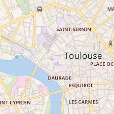 Image result for toulouse