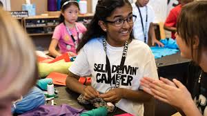 Image result for Wicker Camp