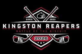 Image result for Kingston Upon Hull Hockey Club