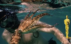 Image result for Watford & Acton Octopush Club