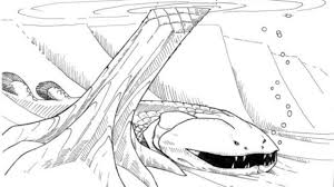 Attēlu rezultāti vaicājumam “Laccognathus panderi”