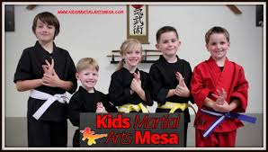 Image result for Martial Arts Karate Mesa AZ