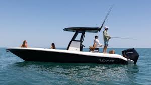 Image result for Blackwood