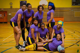 Image result for Hornets Netball Club