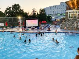 Image result for Abinger Sports Club