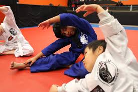 Image result for Synergy Tae Kwon Do