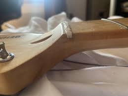 Картинки по запросу белку зажевало в диск