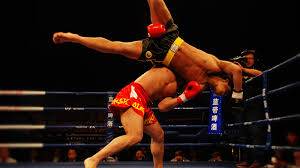 Image result for North West Chinese Kickboxing
