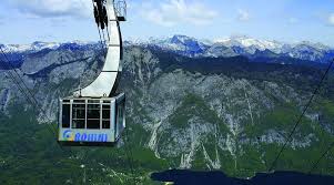 Image result for vogel