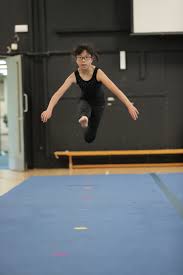 Image result for Aerodyne Gymnastics Club