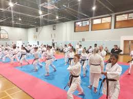 Image result for Alleyn School Of Japanese Karate