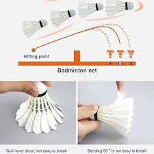 Image result for Feathers Badminton- Leatherhead