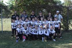 Image result for Comets Junior Badminton Club