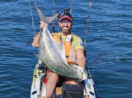 Image result for Lichia amia