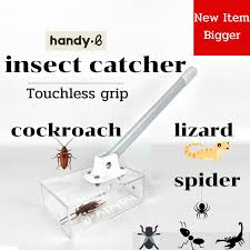 Image result for apupy