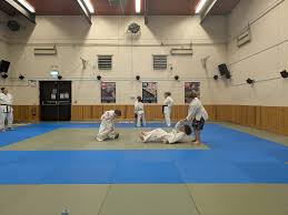 Image result for Rising Sun Judo Club