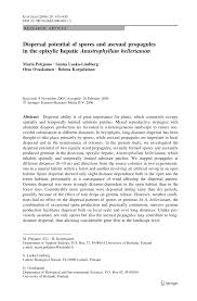 Attēlu rezultāti vaicājumam “Anastrophyllum hellerianum”