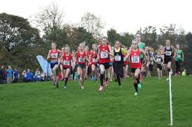 Image result for Grimsby Harriers & Athletics Club