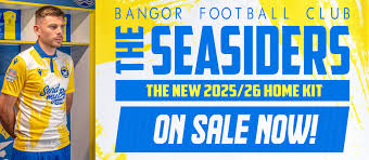 Image result for Bangor City Bowls Club