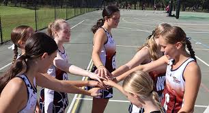 Image result for Robins Netball Club