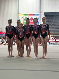 Image result for Spalding & District Gymnastics Club