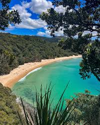 Image result for new chums beach