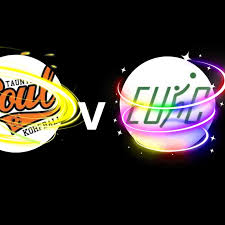 Image result for Taunton Soul Korfball Club