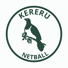 Image result for Integral Netball Club