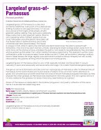 Attēlu rezultāti vaicājumam “Parnassiaceae”