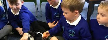 Image result for Warrior Academy - Combe Down Primary School