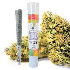 Attēlu rezultāti vaicājumam “Cannabis sativa fruit”