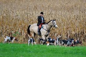 Image result for Haydock Hunters Speedminton Club