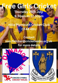 Image result for Hills Plymouth Cricket Club