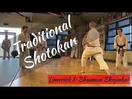 Image result for ZOKU SHOTOKAN KARATE (Baldock)