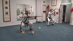Image result for Arlington Martial Arts Academy