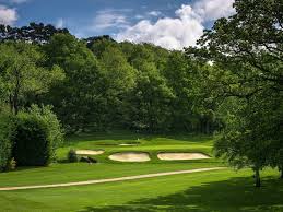 Image result for Cranleigh Football Club