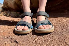 Image result for www.teva.es