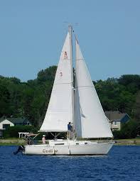 Image result for Aloha Sailboards