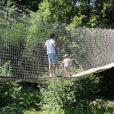 Image result for PONT DE SINGE