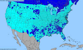 Attēlu rezultāti vaicājumam “Melilotus wolgicus”