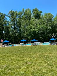 Image result for Odiham swim club