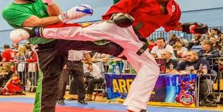 Image result for Worthington Martial Arts Institute