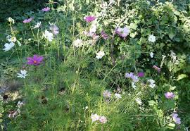 Image result for Schmuckkörbchen