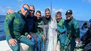 Image result for skiptondivers