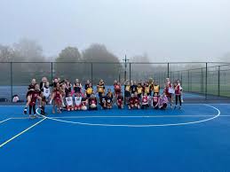 Image result for Tongham Netball Club