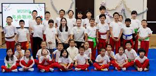 Image result for Dragon Wushu Club