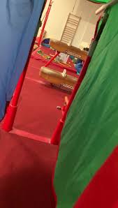 Image result for Focus Institute of Gymnastics