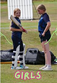 Image result for Welton Cricket Club