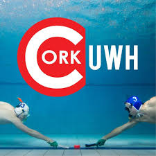 Image result for Underwater Hockey Ireland